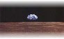 The collection's logo