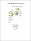 Growth and development - Formatted.pdf.jpg